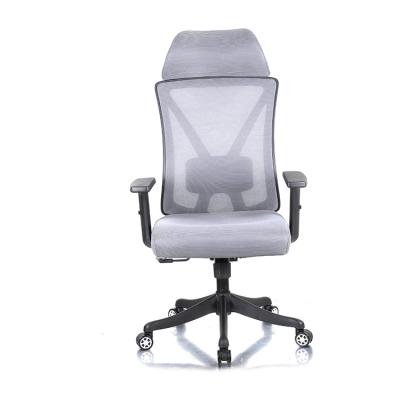 China Hot Selling Comfortable Ergonomic Desk Adjustable Mesh Swivel Chair (Waist) High Adjustable for sale