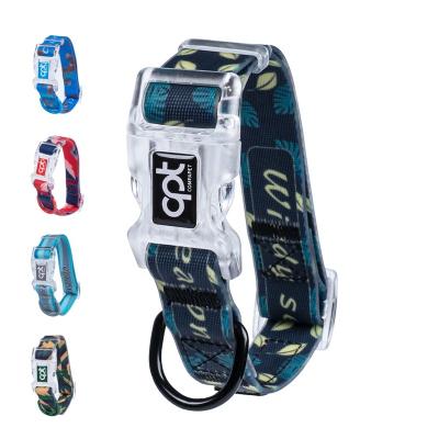 China Durable Quick Release PVC Coated Strap Pet Outdoor Dog Collar Small Pet Collars Waterproof Dog Collar for sale