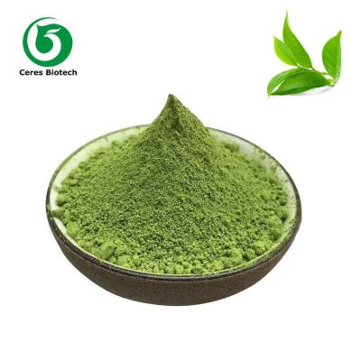 China Organic Pure Matcha Powder Bulk Tea Polyphenols Vitamin Food Supplement for sale