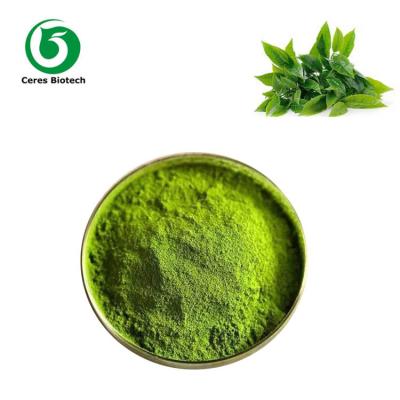 China ISO Ceremonial Matcha Green Tea Powder Organic Grade AA for sale