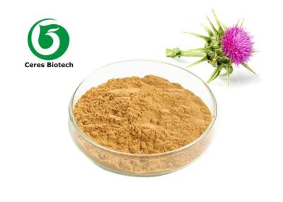 China 80% Organic Silymarin Milk Thistle Extract Powder Liver Protection for sale