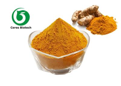 China Food Preservative Turmeric Extract Curcuma Longa L Extract Powder for sale