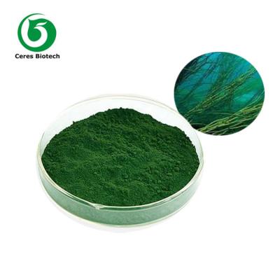 China No Fillers No Binders Spirulina Powder / Tablet Anti Radiation 250mg 500mg for sale