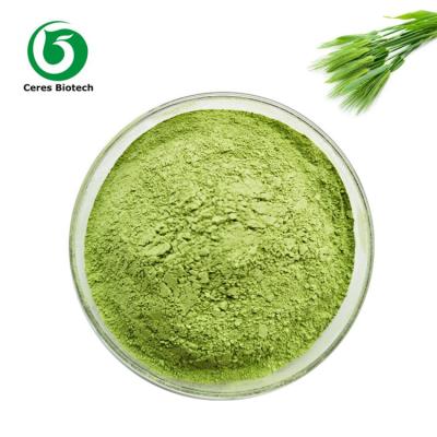 China Liver Protection Dried Vegetable Powder Barley Grass Juice Powder Food Grade for sale