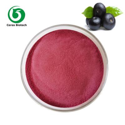 China Organic Natural Acai Berry Powder 90% For Health Care for sale