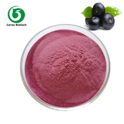 China 100% Natura Food Grade Acai Berry Powder For Weight Loss for sale