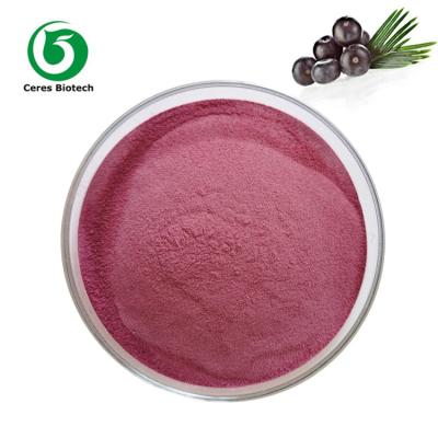 China 100% Natural Fruit Juice Powder Acai Berry Powder Improved Digestion for sale