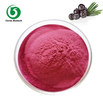 China 90% Organic Acai Berry Extract Powder For Juice Food Grade for sale