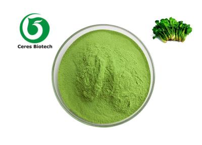 China Supply Natural Vegetable Powder Spinach Juice Powder for sale