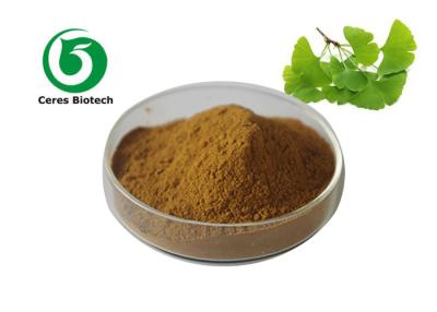 China Flavone 24% and Lactones 6% Ginkgo Biloba Extract Powder for Cardiovascular Health for sale