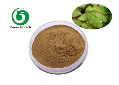 China Application of Horny Goat Weed Epimedium Extract Food Health Products Pharmaceuticals for sale