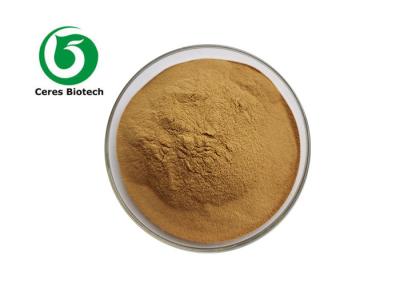 Cina High Quality Hops Flower Extract 8-Prenylnaringenin (8-PN) 0.1% Xanthohumol 1% Powder in vendita