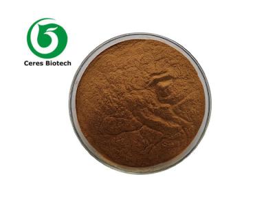 중국 High Quality Antrodia Camphorata Extract Powder 판매용