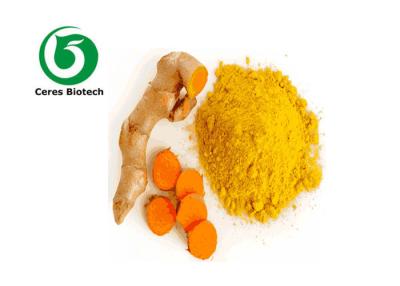 China Pharmaceutical Grade Turmeric Curcumin Extract 95% Curcumin Powder High Efficiency for sale