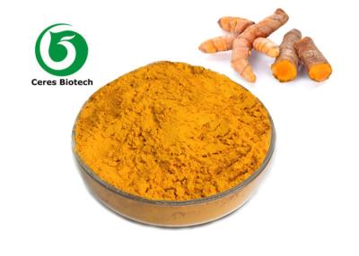 China Water Extraction Natural Turmeric Curcumin Extract 95%  Orange Yellow Powder for sale