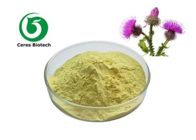 China Liver Protection Milk Thistle Extract Powder Silymarin Uv 75% Food Grade 65666-07-1 for sale