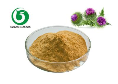 China Antioxidant Silymarin Milk Thistle Hplc 50% Liver Protection High Efficiency for sale