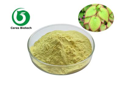 China Brown Yellow Epimedium Extract Powder Icariin 98% Pharmaceutical Food Grade for sale