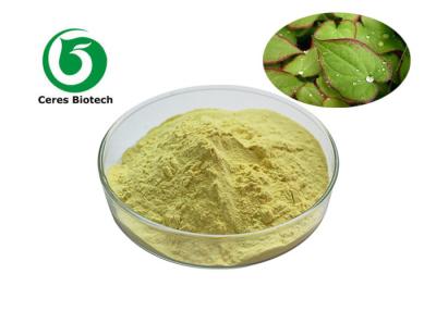 China Natural Horny Goat Weed Epimedium Extract Powder Icariin 90% Light Yellow for sale