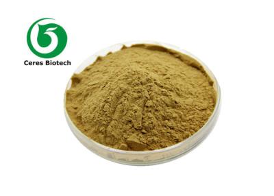 China Natural 20/1 Gymnema Sylvestre Extract Powder Gymnemic Acids for sale