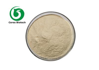 China Alcohol Starch Industry Natural Protease Enzyme Amyloglucosidase for sale