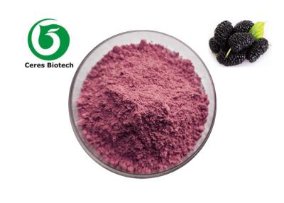 China 99% Mulbery orgânico frutificam Juice Powder 80 Mesh Food Grade à venda