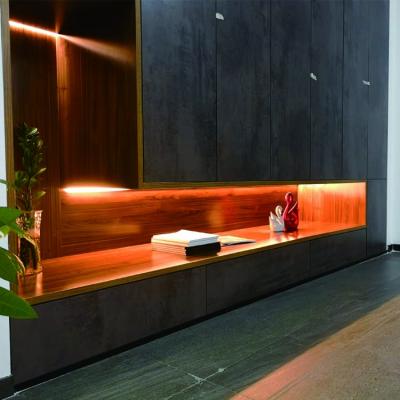 China Hot Sale Modern Indoor LED Embedded Furniture Wardrobe Closet Light Cabinet Light for sale