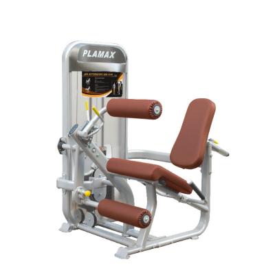 China Leg Extension Machine Gym Leg Extension / Leg Extension Machine Gym Equipment Steel Seated Body Curl Machine for sale