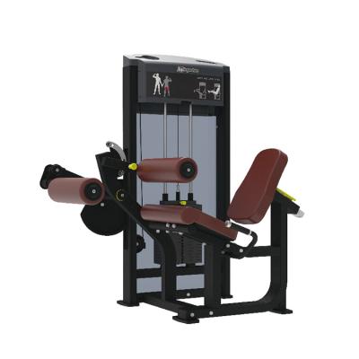 China Advanced Equipment Seated Leg Curl Machine Gym Leg Curl Leg Curl Machine Box1: 1465*815*210 Box2: 1115*885*330 Box3: 1205*685*180 for sale