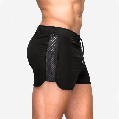 China Custom High Quality Breathable Cotton Stretch Training Tapered Shorts Workout Fitness Anti-Wrinkle Running Men Gym Athletic Shorts for sale