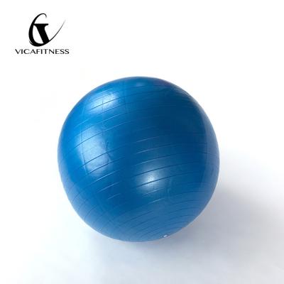 China Comfortable High Quality Private Label Gym Exercise Gym Soft Eco-Friendly Fitness Ball for sale