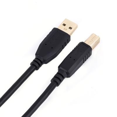 China Printer Factory Direct Sale Usb 2.0 Printer Scanner Cable Usb A Male To B Male Extension Cable for sale