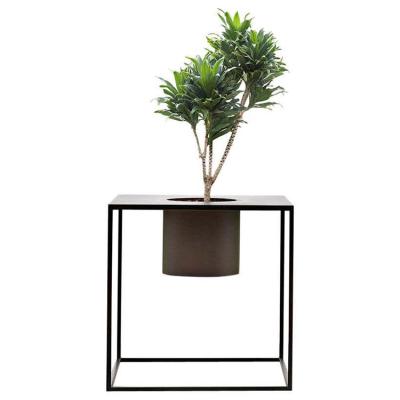 China Nordic Minimalist Plant Hanger Tree Planter Plant Stand for sale