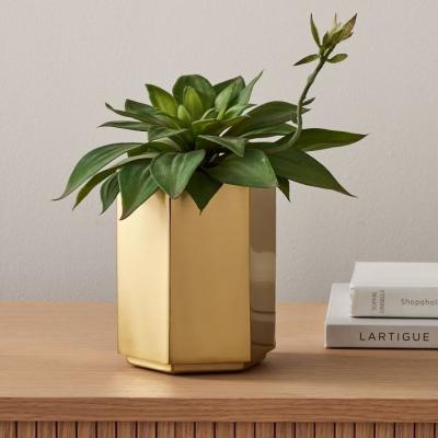 China Minimalist Home Decoration Table Top Planting Basin Flower Planting Pot Metal Plant Small Steel Pot for sale