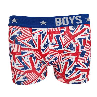 China European Comfotable Underwear Custom Boys Underwear Boxer Shorts Briefs Customized Logo Kids Boys Underwear Boxer for sale