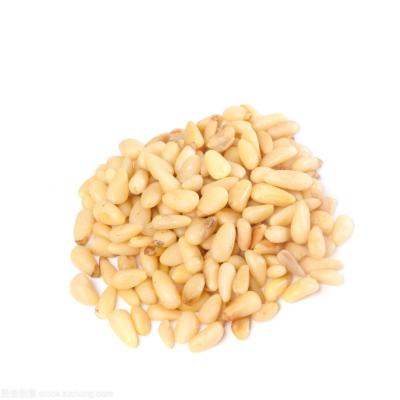 China Nature's gift of food, natural pine nuts wholesales for sale