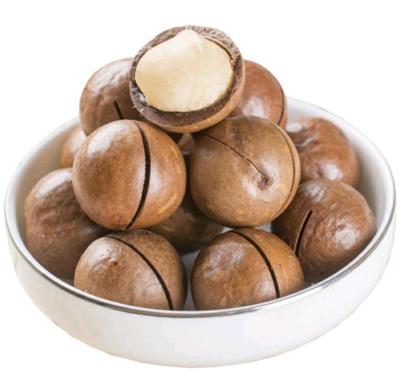 China Dried macadamia rich, a large number of wholesale for sale