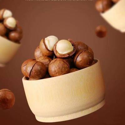 China Various Size Dried Good Quality Healthy Macadamia From South Africa In Shell for sale