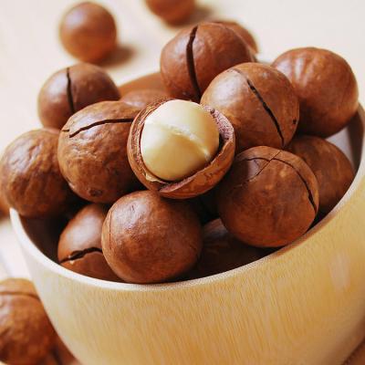 China Dried Australian Hazelnuts in Shell Bulk Supply for Best Export Prices for sale