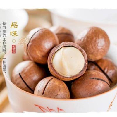 China Maca Dried Raw Salty Roasted Macadamia Nuts Sprinkles Shell Food Healthy Macadamia for sale