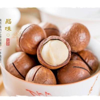 China Natural Dry - Vietnam Roasted Natural Delicious Australian Hazelnuts for sale