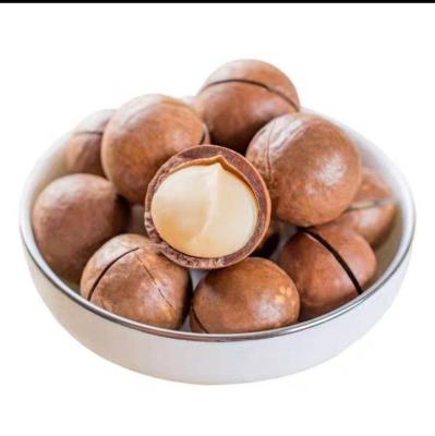 China New product of high quality hot-selling dry shelled macadamia butter nuts for sale