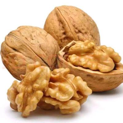 China High Quality Natural Unbleached Dried Walnut Nuts for sale