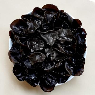 China Factory price dry premium quality washed dry black fungus and white back fungus (within 5 cm) for sale