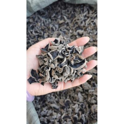 China High Precision Edible Dried White Back Black Mushroom for sale