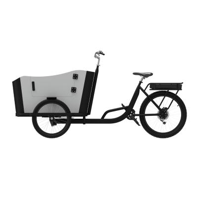 China Hot Sale 48V250W Electric Cargo Bike Tricycle Lithium Battery Electric Cargo Tricycle For Adult for sale