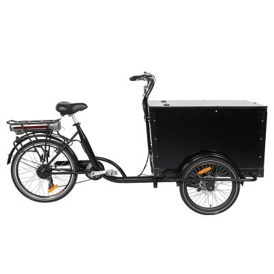 China New Design 3 Wheel Electric Cargo Bike 48V 250W Electric Cargo Bike Adult Electric Tricycles 3 Wheel for sale