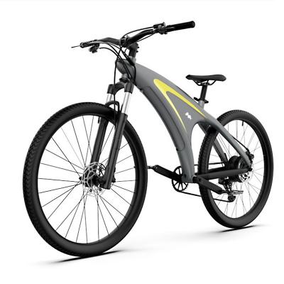 China Electric Bike Mauntain Bicicleta 500w Mountain Bike Motor Enduro Bike Cycle High Quality Fat Tire Electric E-Bike for sale