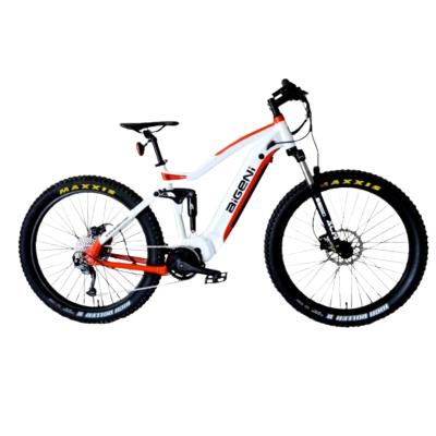 China Aluminum Alloy Shimano Altus 7 Speed ​​750W Mountain Bike 48V Electric Bicycle Fat Tire Lithium Battery Electric Tire for sale