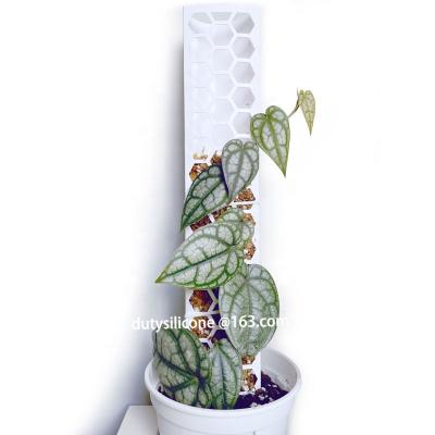 China 2022 New Idea Modern Plastic Moss Pole Stackable Totem Pole for Indoor Plants Moss Sticks Climbing Plants for sale